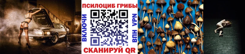 гидра зеркало Новосокольники Галлюциногенные грибы GOLDEN TEACHER
